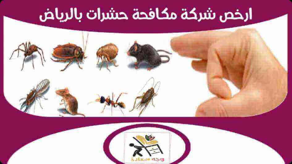 ارخص شركة مكافحة حشرات بالرياض