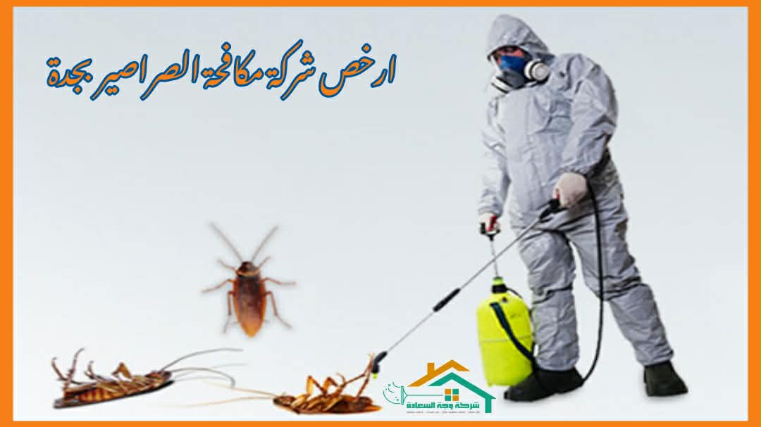 ارخص شركة مكافحة الصراصير بجدة عام 2026 