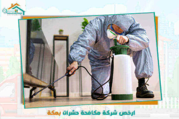 ارخص شركة مكافحة حشرات بمكة عام 2026