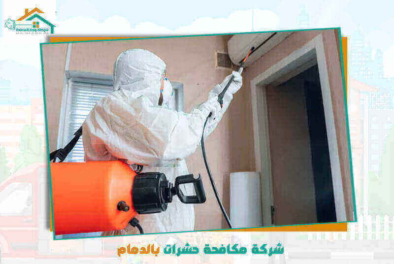 شركة مكافحة حشرات بالدمام