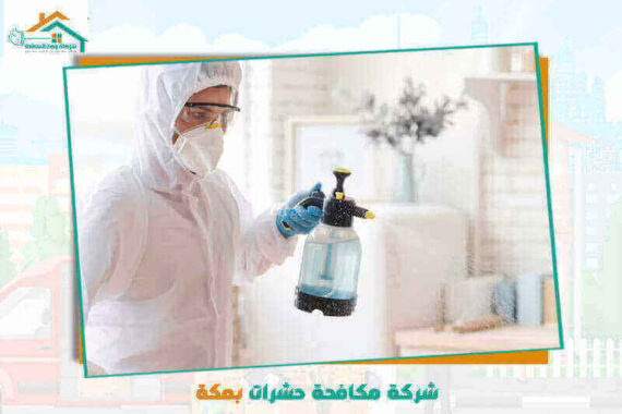 شركة مكافحة حشرات بمكة